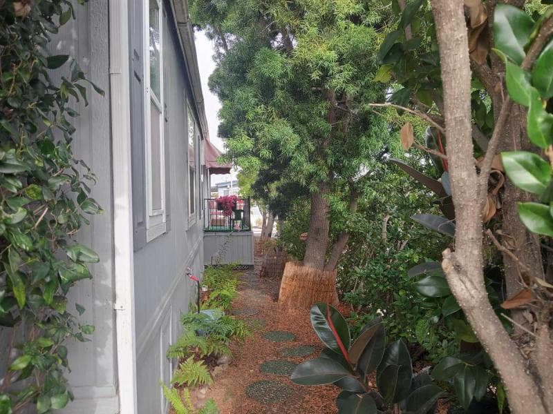 Beautiful corner lot in the woods  home features