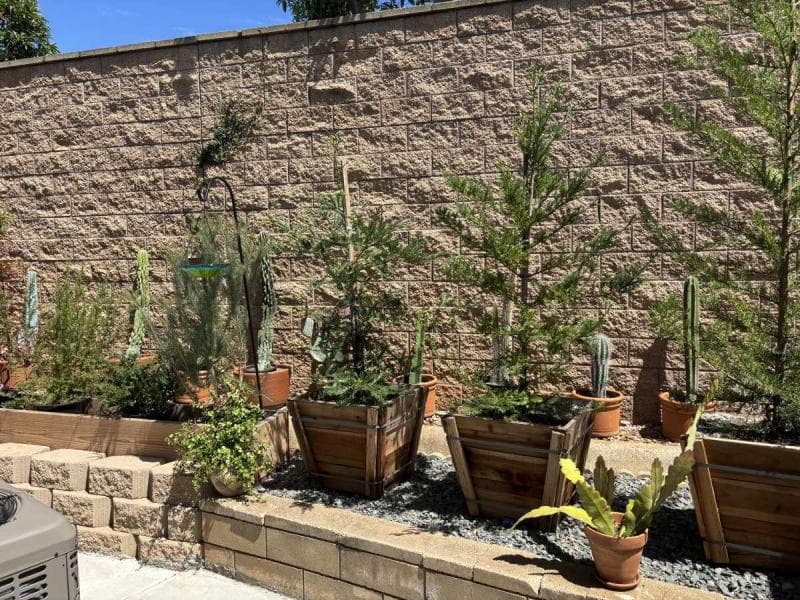 Private oasis on corner lot in the village green 55+  home features